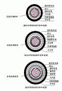 PTYA23、PTYA22鐵路鎧裝信號(hào)電纜